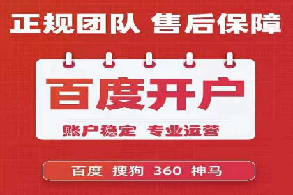 成功SEM托管案例解析